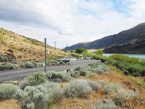 shrub-steppe habitat at Apricot Orchard Boat Launch along the Columbia River, Douglas County, Washington