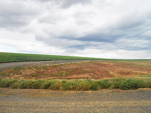 gully within bend in Stuhlmiller Road, Douglas County, Washington