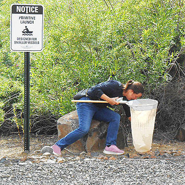 Kathy Whaley at Apricot Orchard Boat Launch on Columbia River, Douglas County, Washington