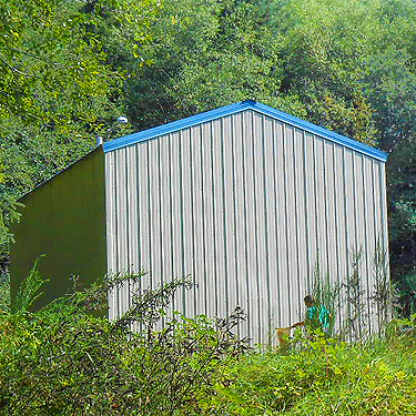 Kathy collecting off a building, S side North River south of Artic, Washington