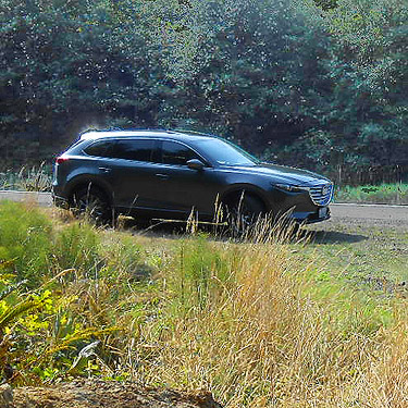 we parked at the site 2 miles south of Artic, Washington