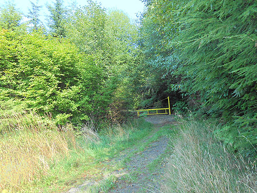gated road below powerline 2 miles south of Artic, Washington