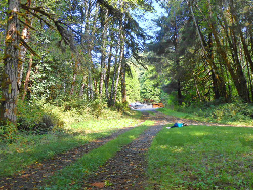 Kathy Whaley napping, S side North River south of Artic, Washington