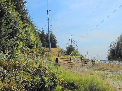 Kathy sweeping in powerline clearing, 2 miles south of Artic, Washington