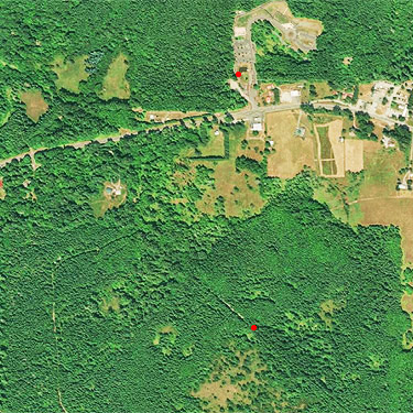 2017 aerial photo showing spider sites near Ashford, Pierce County, Washington