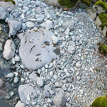 gravel bar on Proctor Creek near Cavanaugh Lake, S-central Snohomish County, Washington