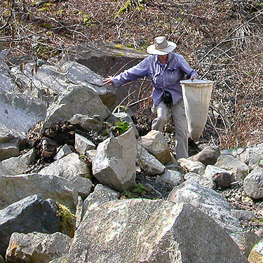 Laurel Ramseyer in quarry, Cavanaugh Lake, S central Snohomish County, Washington
