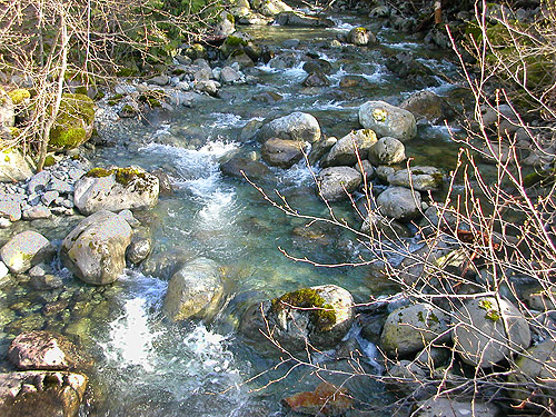 Proctor Creek near Cavanaugh Lake, S-central Snohomish County, Washington