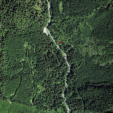 March 2023 spider site on Bacon Creek, Whatcom County, Washington