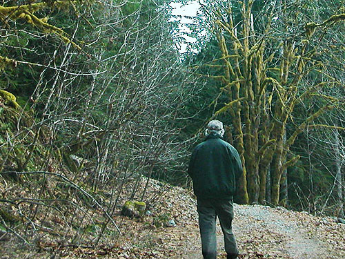 Jerry Austin investigates possible obstacle on Bacon Creek Road, Whatcom County, Washington