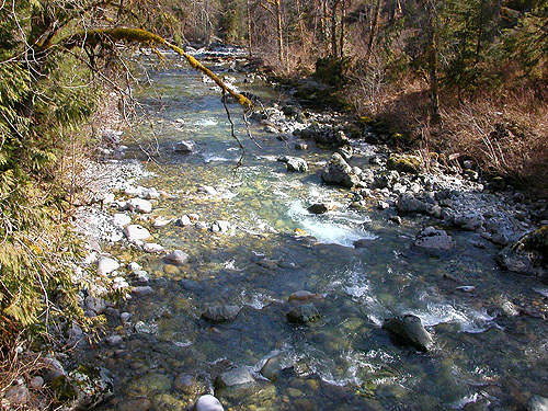 Creek (downstream) from bridge, Bacon Creek, Whatcom County, Washington