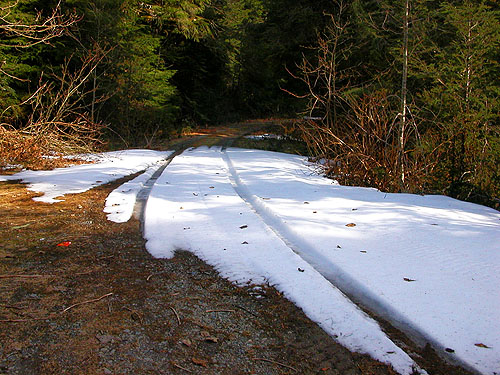 Our tire tracks in formerly virgin snowpatch, Bacon Creek, Whatcom County, Washington