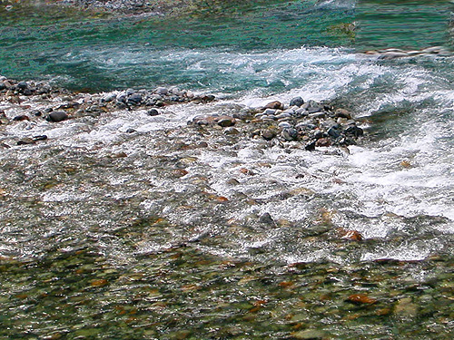 Clear water and blue water in river, Baker River Trail at suspension bridge, Whatcom County, Washington