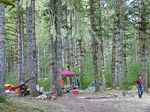 campers by trailhead, gravel bar by Baker River trailhead, Whatcom County, Washington