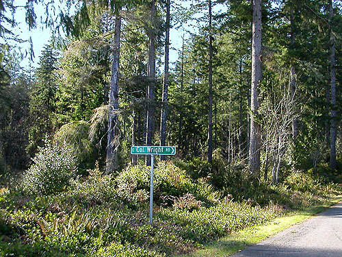 clearcut-edge forest, Ballow Road, Hartstene Island, Washington