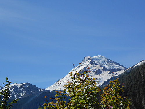 Mount Baker from near Wells Creek Road site, north of Mt Baker, Washington