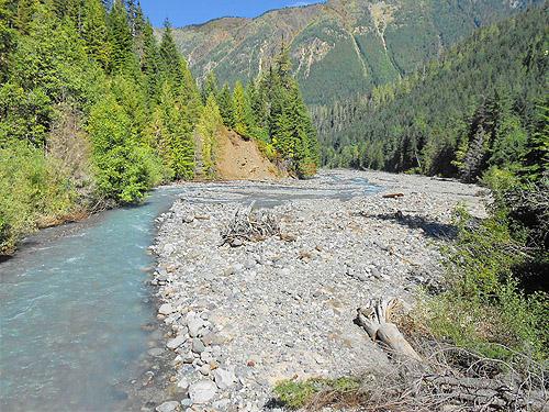 creek downstream of Bar Creek Bridge, N of Mt Baker, Washington