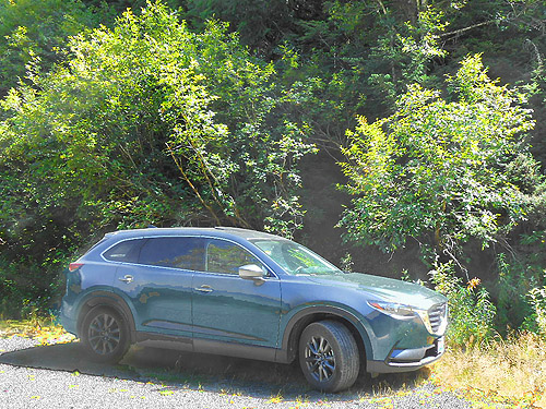 parking place in front of alder thicket, Bar Creek Bridge, N of Mt Baker, Washington