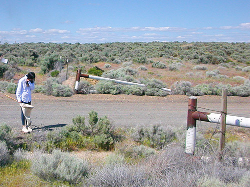 gate into Dept of Wildlife land, shrub-steppe site on Road 15 at Beverly-Burke Road, SW Grant County, Washington