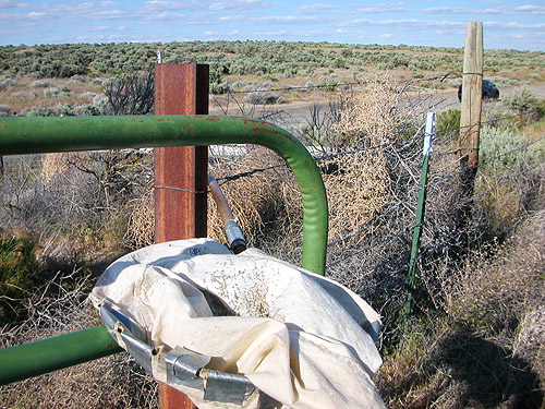 using a side gate as a net stand, shrub-steppe site on Road 15 at Beverly-Burke Road, SW Grant County, Washington