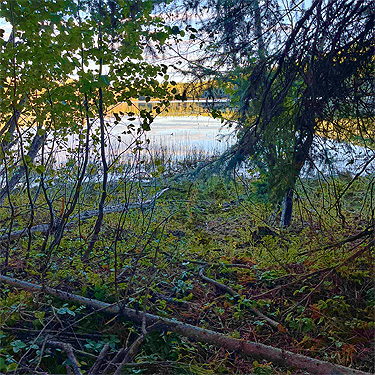 shoreline of  Big Meadow Lake, Pend Oreille County, Washington