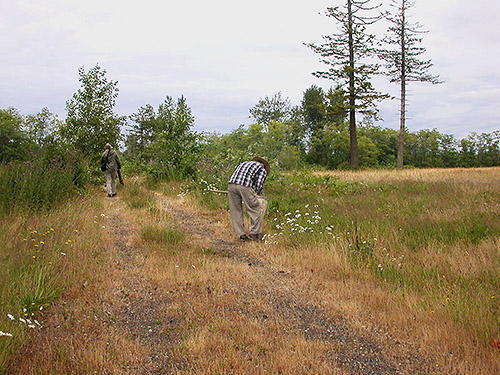 Laurel Ramseyer on the grassland, center of Birch Point peninsula, Whatcom County, Washington