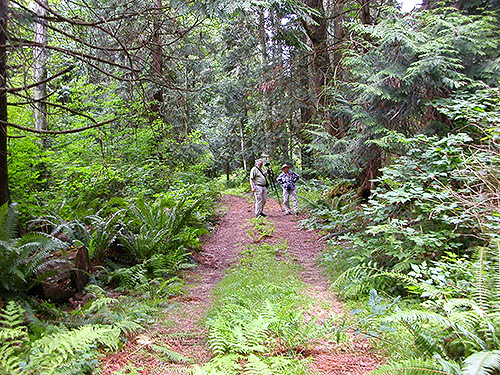 Markku Savela and Laurel Ramseyer on forest track, Birch Point, Whatcom County, Washington