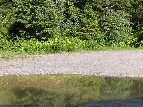 puddle in gravel highway pullout, Blewett townsite, near Blewett Pass, Chelan County, Washington