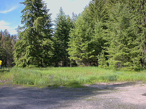 highway pullout with good habitats, Blewett townsite, near Blewett Pass, Chelan County, Washington