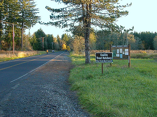 approaching the turnoff to Cowlitz Trout Hatchery, Lewis County, Washington
