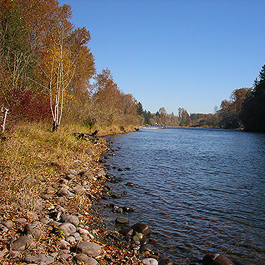 Cowlitz River, Blue Creek Boat Launch, Cowlitz Trout Hatchery, Lewis County, Washington