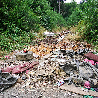 illegal dumping at tree farm, Little North River Valley near Cosmopolis, Grays Harbor County, Washington