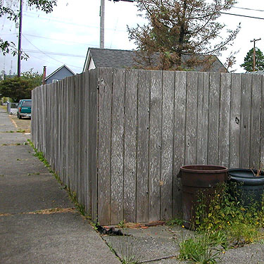 wooden fence in Cosmopolis, Grays Harbor County, Washington