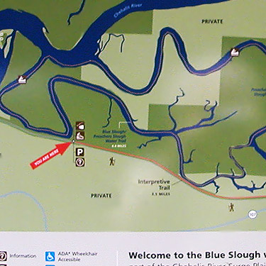 map/sign of interpretive trail, Blue Slough near Cosmopolis, Grays Harbor County, Washington