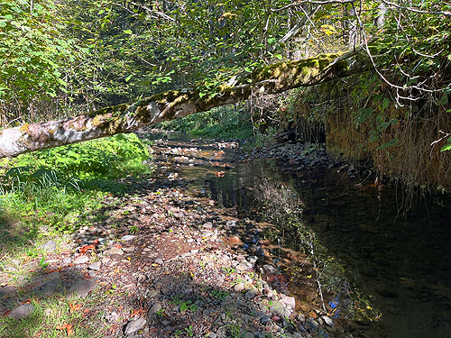 Slide Creek, Boistfort Lions Park, Lewis County, Washington