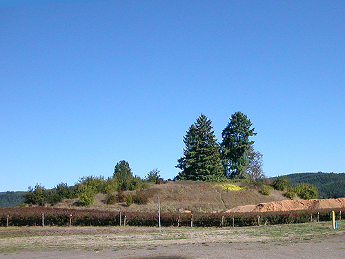 mound where old/pioneer cemetery was, Boistfort, Lewis County, Washington