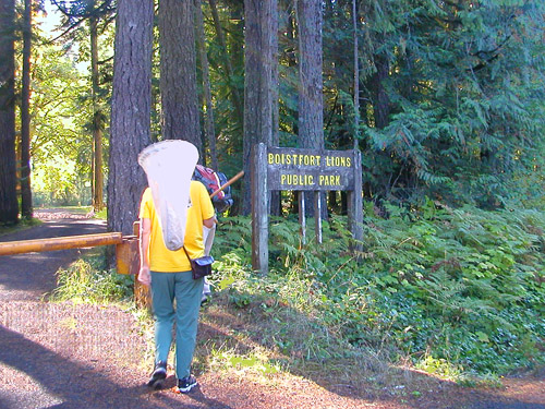 entrance of Boistfort Lions Park, Lewis County, Washington