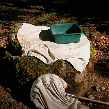 sifter on sifting platform, Boistfort Lions Park, Lewis County, Washington