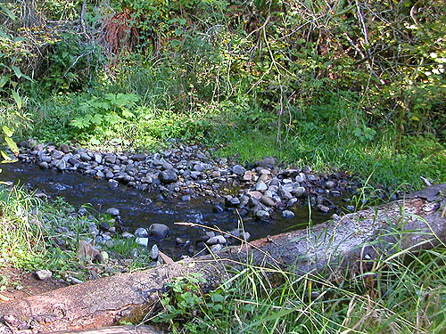 Slide Creek, Boistfort Lions Park, Lewis County, Washington