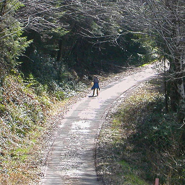 Laurel walks up Howard Creek road, Brooklyn Valley, Pacific County, Washington