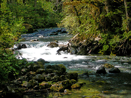 cascade on Big Quilcene River near Falls View Campground, Jefferson County, Washington