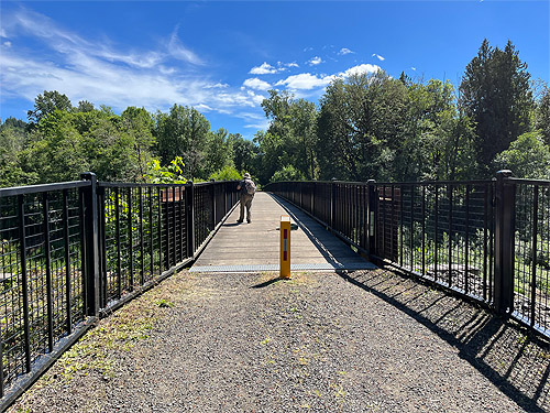Chehalis River bridge on Willapa Hills Trail, western Lewis County, Washington