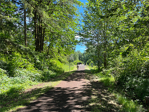 Willapa Hills Trail near Chehalis River bridge,, western Lewis County, Washington