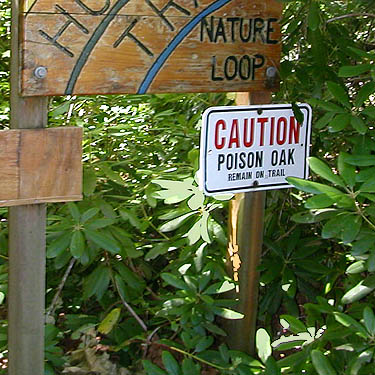 poison oak warning sign, Burfoot Park, Thurston County, Washington