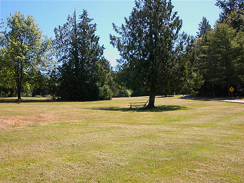 park lawns, Burfoot Park, Thurston County, Washington
