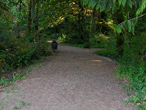 beginning of main trail to beach, Burfoot Park, Thurston County, Washington
