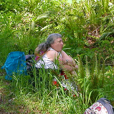 Della Scott in the riparian woods, Bush Creek Valley field site, Grays Harbor County, Washington