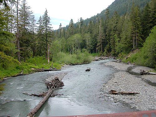 downstream view from bridge, South Fork Canyon Creek at FS Road 41, Snohomish County, Washington