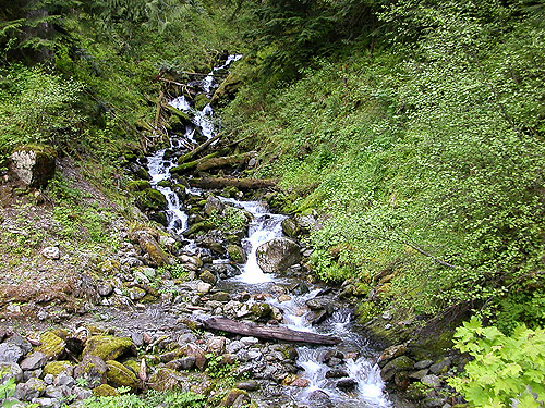 tributary above road near South Fork Canyon Creek at FS Road 41, Snohomish County, Washington