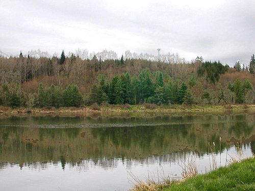 across lake from parking lot, Carlisle Lake Park, Lewis County, Washington